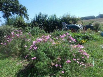 Gîtes de France 53