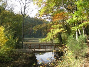 Ville d'Angers - Direction Parcs Jardins et Paysages