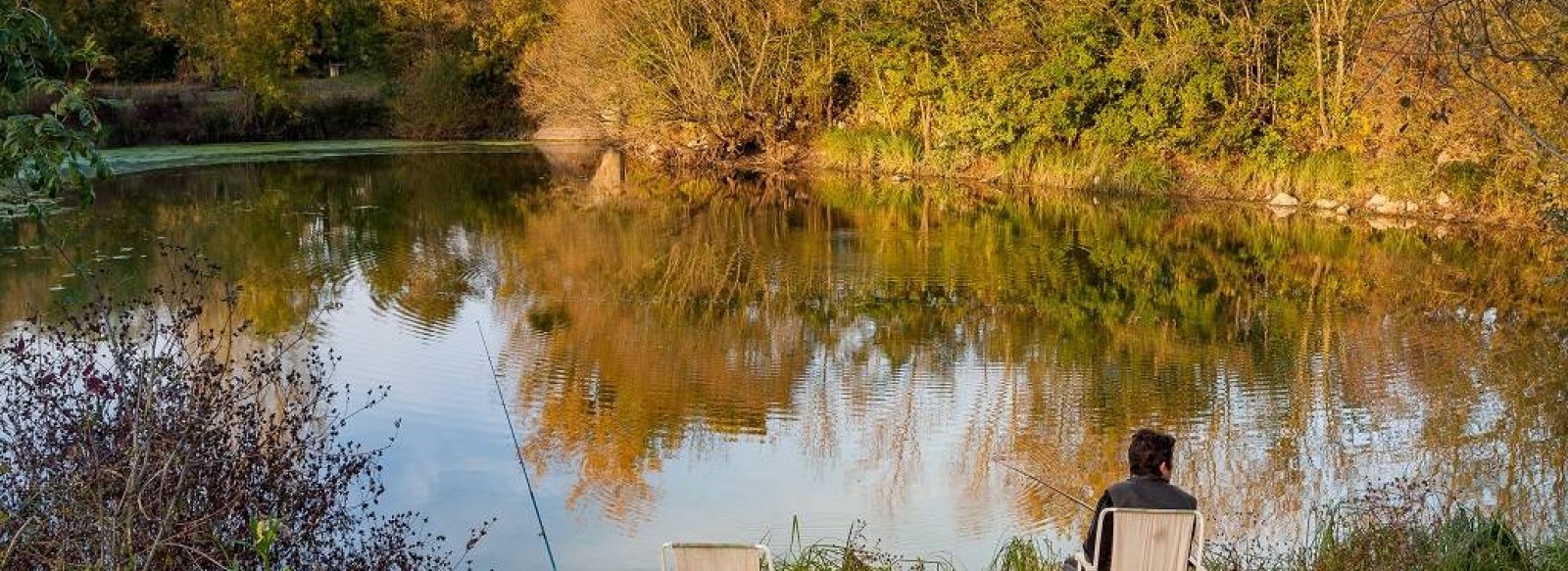 AIRE DE CAMPING CAR L'OREE DES BOIRES