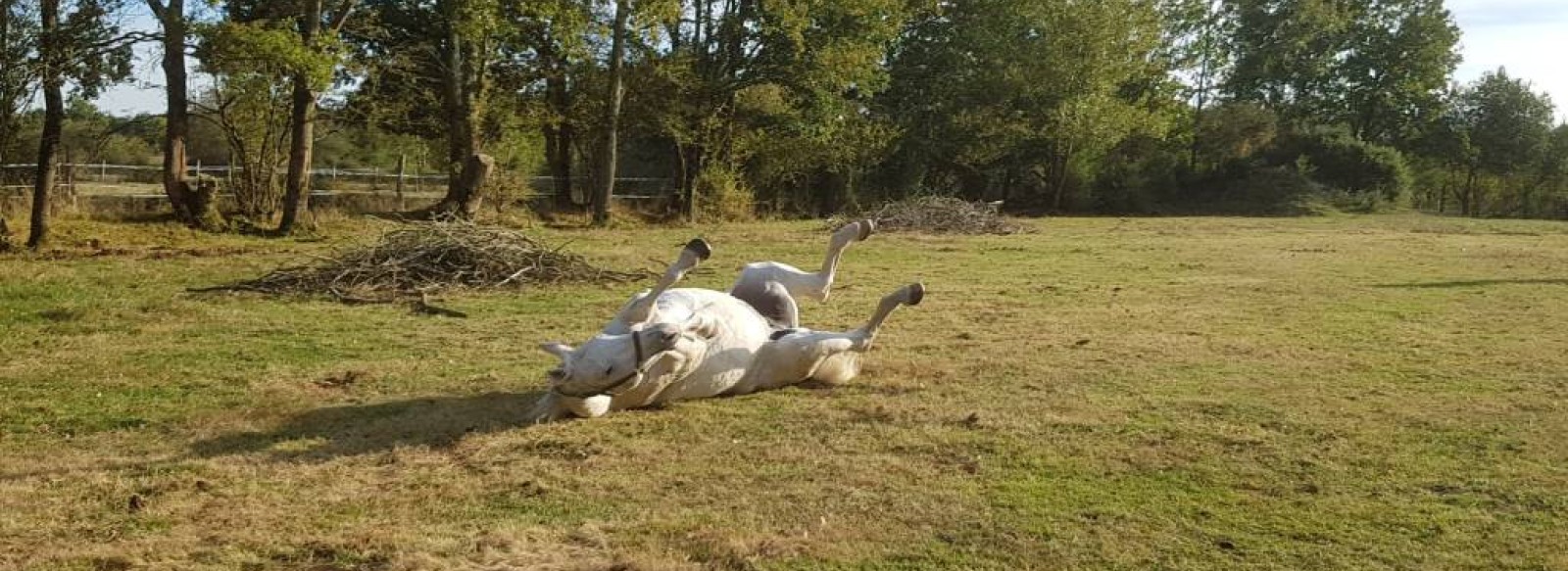 CENTRE DE TOURISME EQUESTRE ECURIE LA RIVIERE