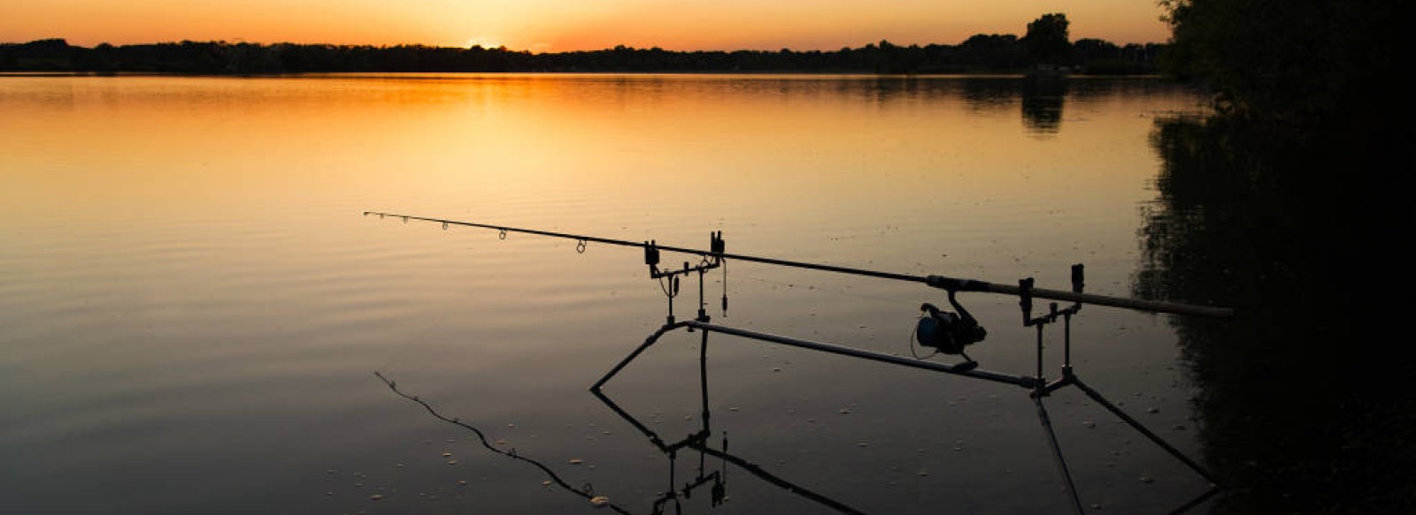 PECHE A LA CARPE DE NUIT SUR LA RIVIERE LA MAYENNE