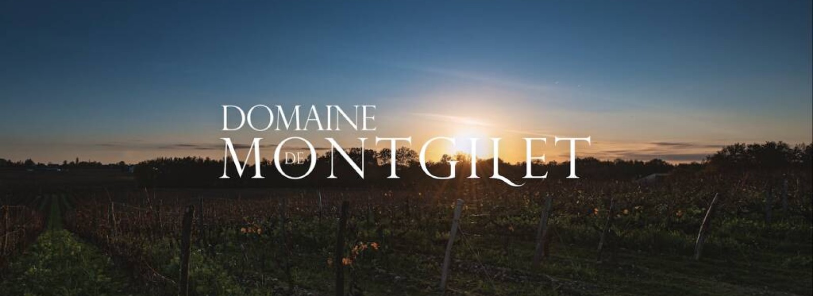 DOMAINE DE MONTGILET