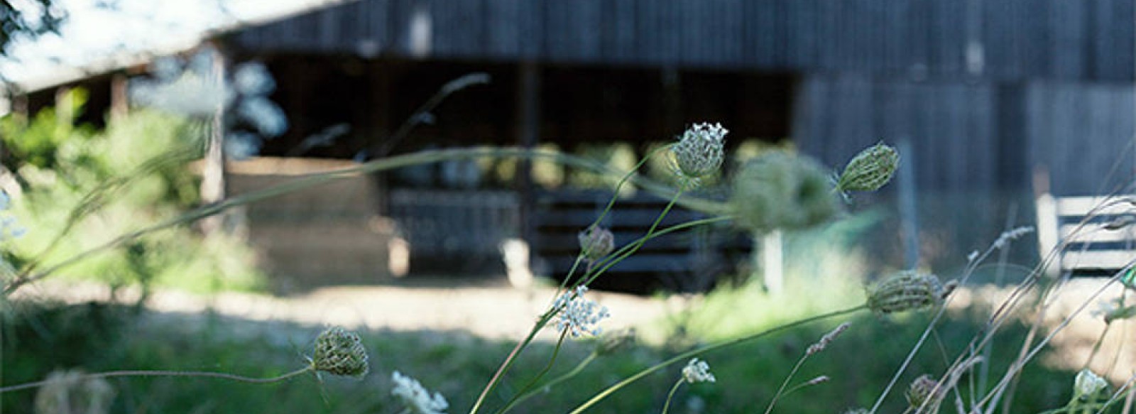 FERME DE BEAUSSAY