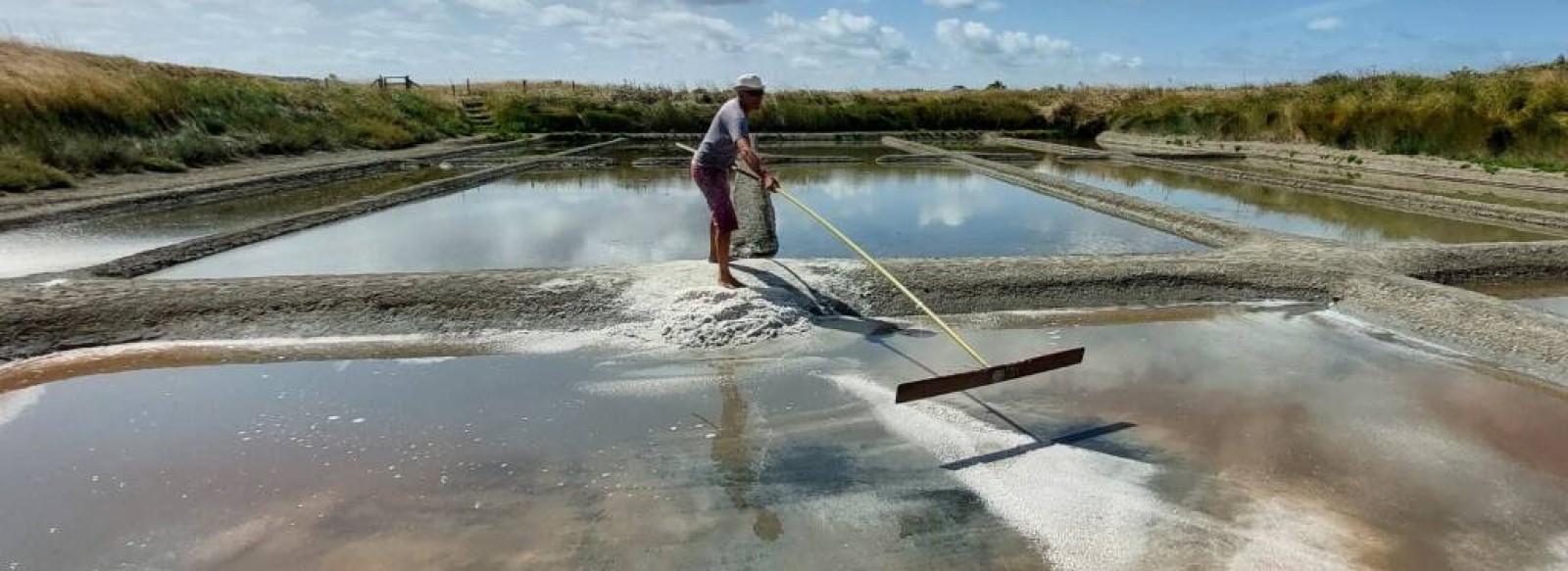 La saline "Tenue de Mareil"