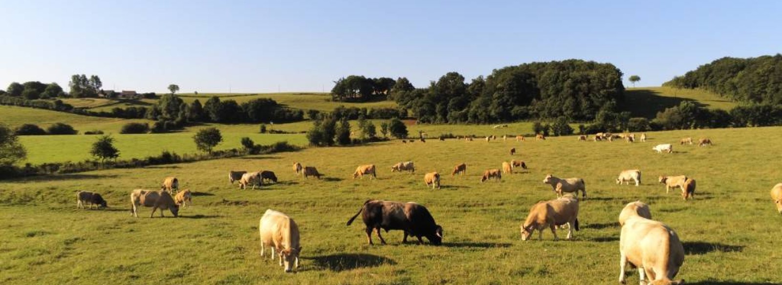 Ferme de la Gourdaine