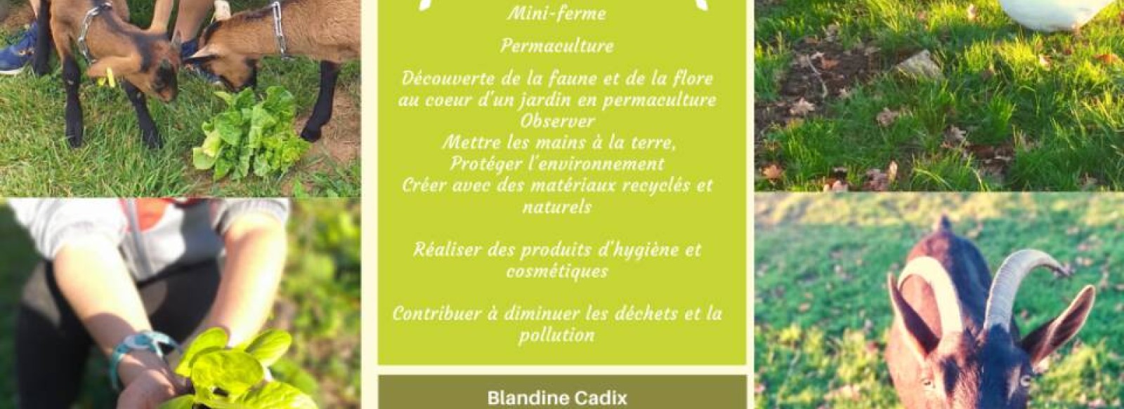 CBON CBIO - ATELIERS NATURE, PERMACULTURE & COSMETIQUES