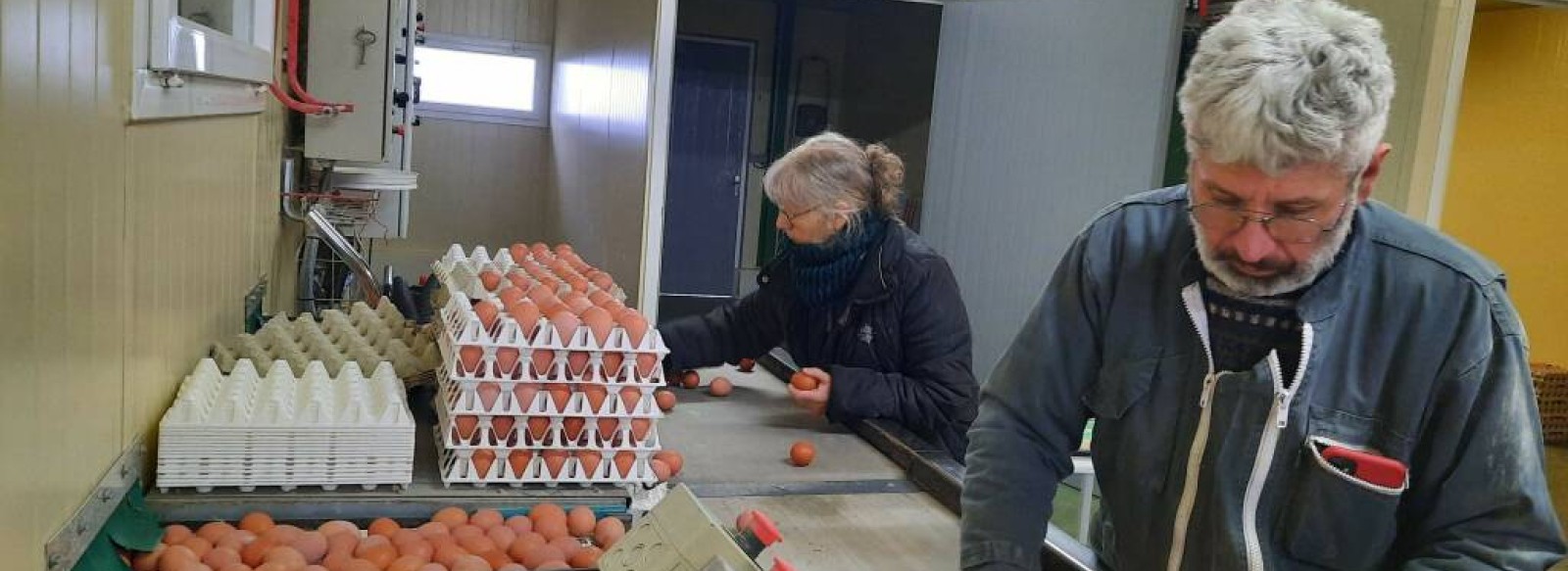 Vente a la ferme, Coco du marais