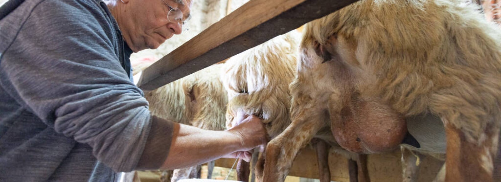 LA FERME DE LA CHANCELIERE