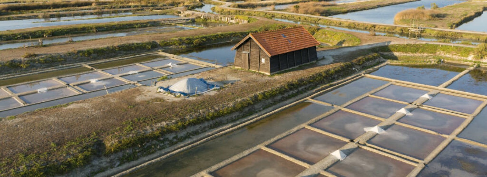 MARAIS SALANTS DE LA VIE