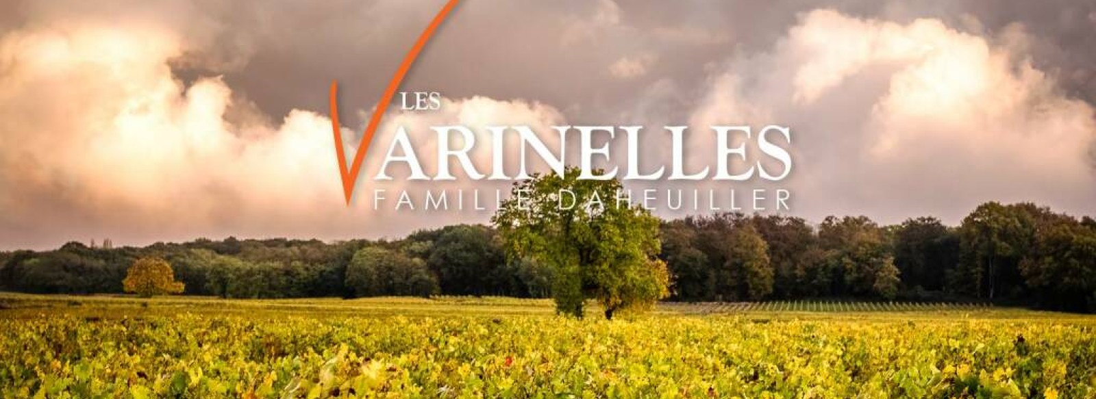 Domaine des Varinelles