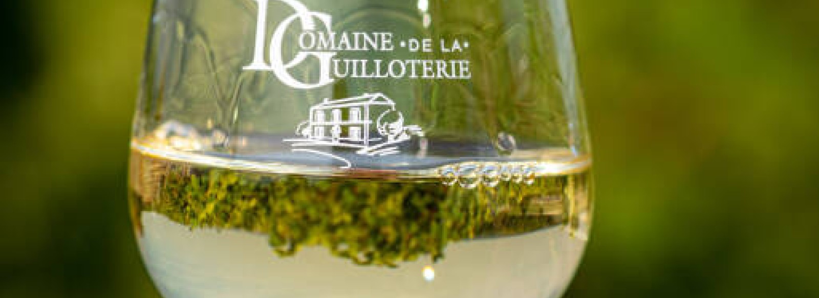 Domaine de la Guilloterie