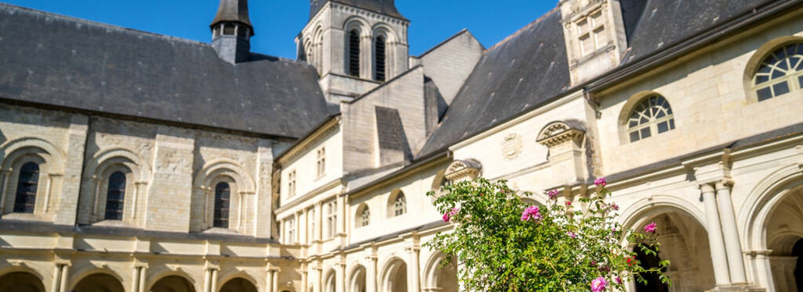 Abbaye Royale de Fontevraud