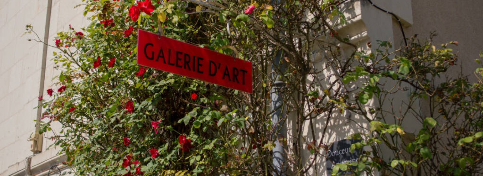 Galerie d'Art "Douceur Angevine"