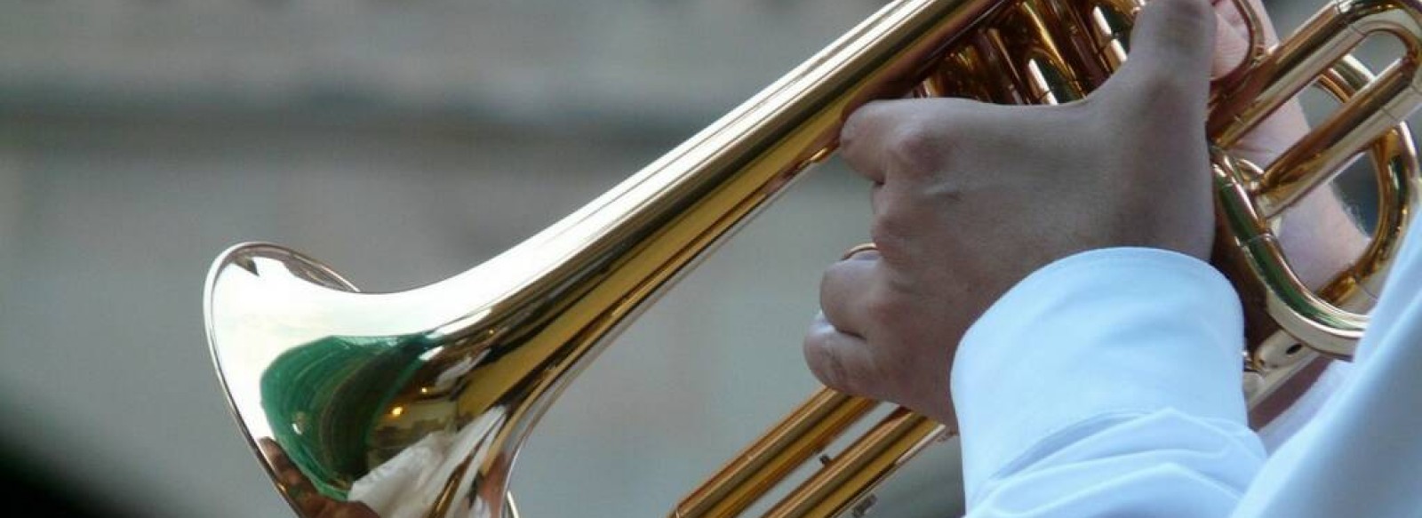 Concert du trio Guerande