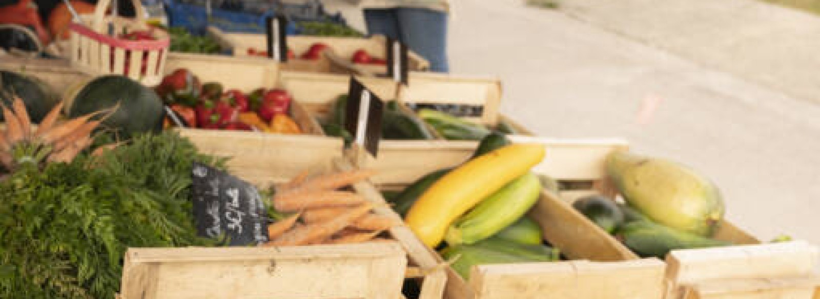 Marche a la Ferme des Epies - Bonchamp-Les-Laval