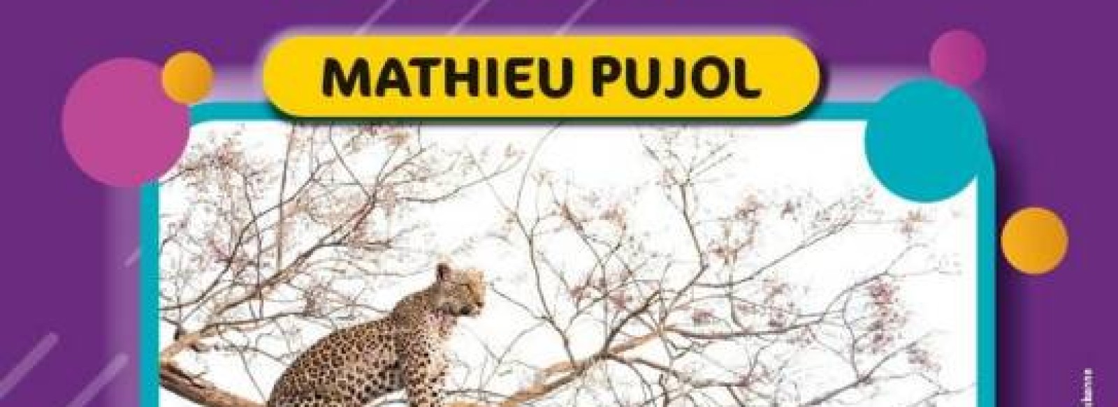 Exposition photographique "Planete Sauvage" de Mathieu PUJOL