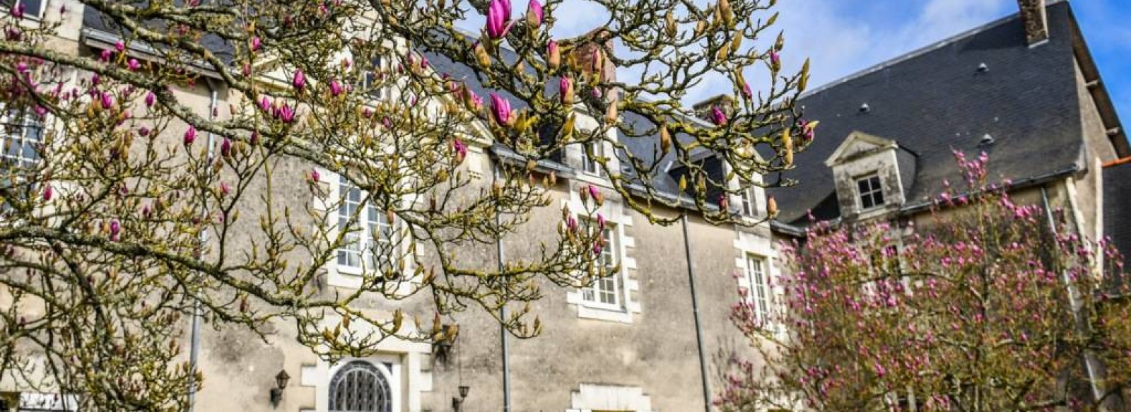 CHAMBRES D'HOTES CHATEAU DE LA GRAND COUR