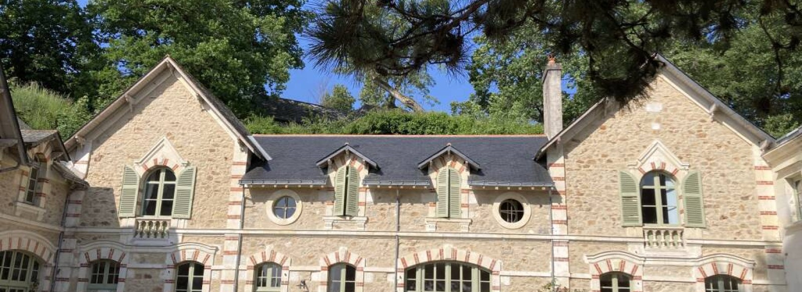 Gite Vue remarquable sur la Loire - Chateau de la Boussiniere