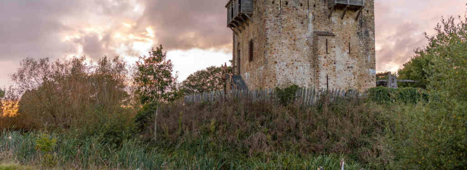 DOMAINE DE LA FERTE CLAIRBOIS