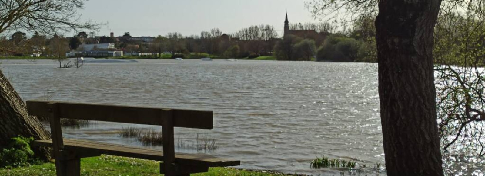 LE TOUR DU LAC DE SAINT-VIAUD