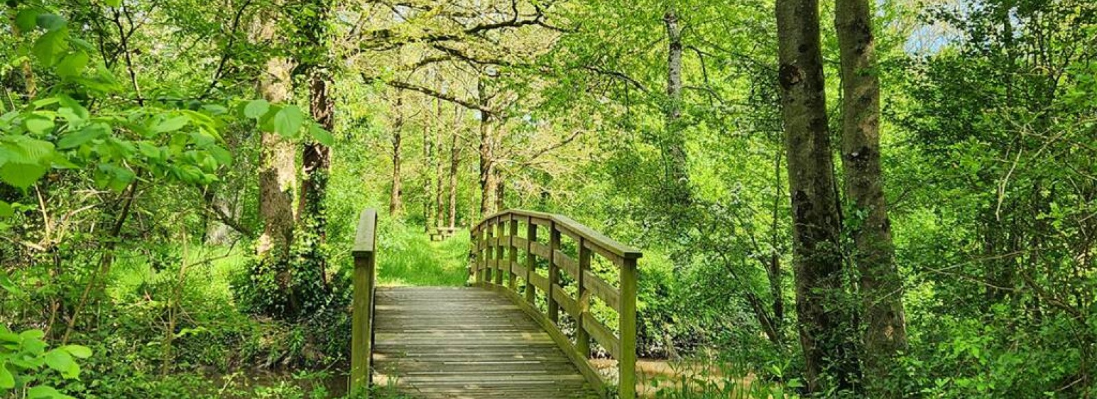 SENTIER DE FRITILLAIRE