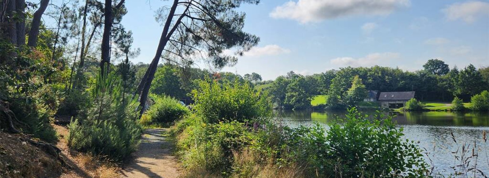 TOUR DE L'ETANG DE LA ROCHE