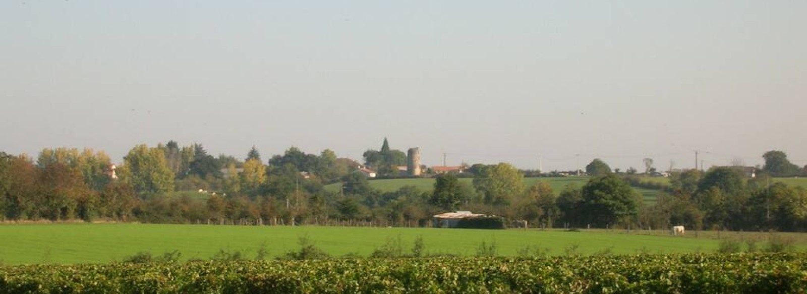 Sentier du Chene aux Loups