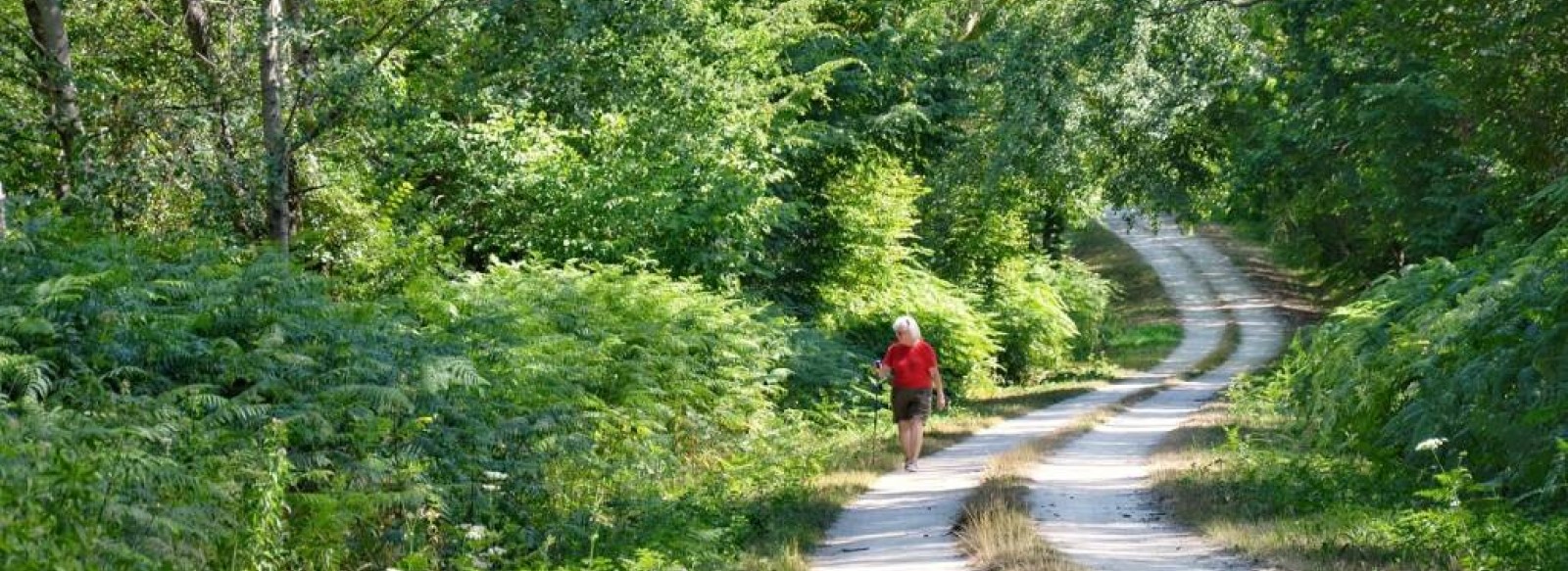 SENTIER DE RANDONNEE LA PETITE SANSONNIERE A NOYANT