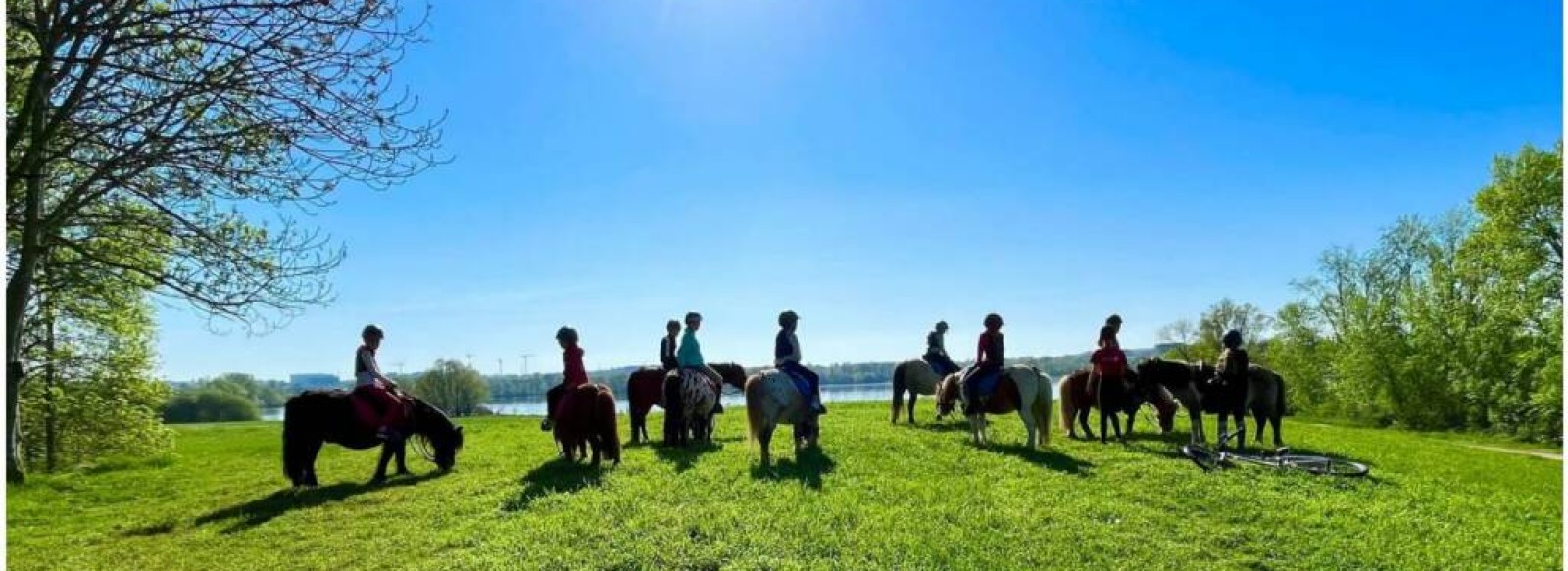 Association Lac de Maine Equitation