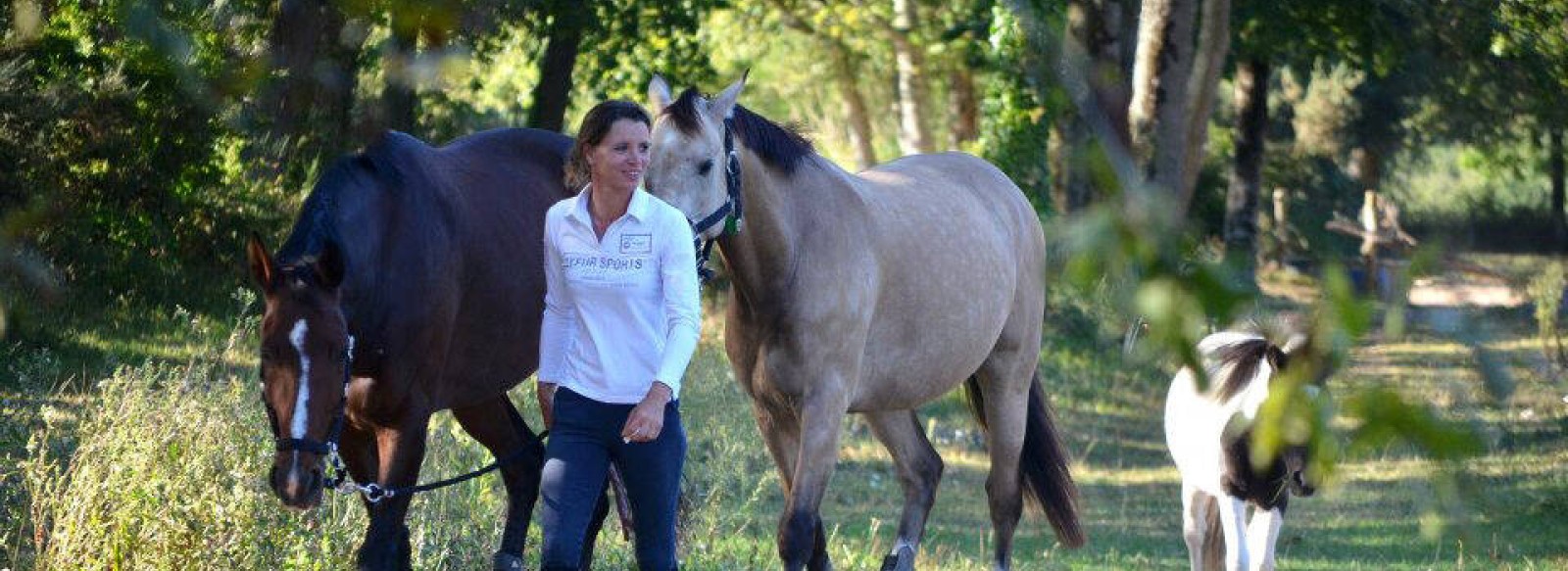 CENTRE EQUESTRE PONEY-CLUB DE PORNIC