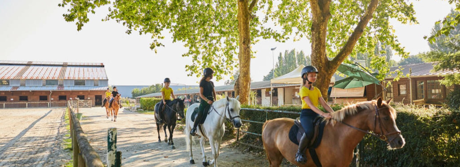 Centre equestre Manege des Platanes