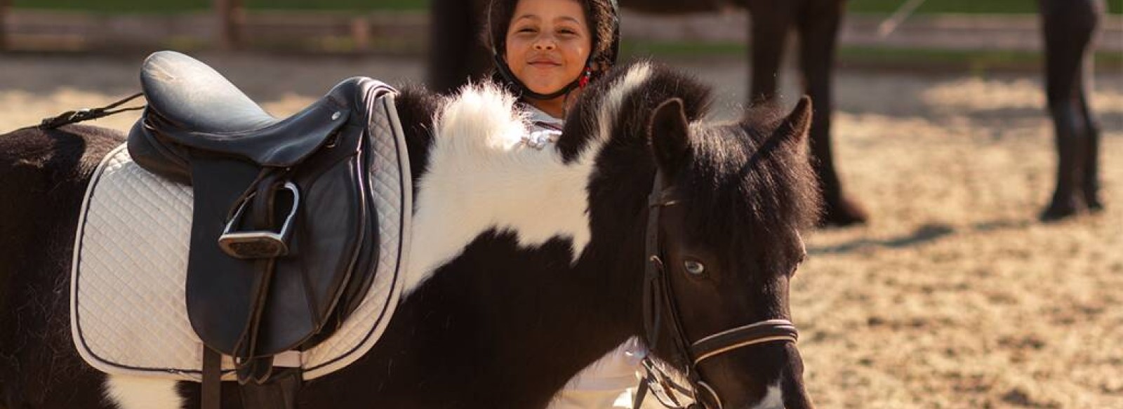 CENTRE EQUESTRE LA CANTRAIE