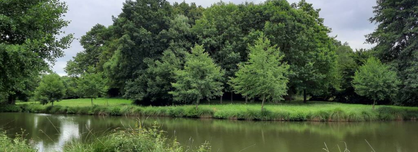 Aire de pique-nique Etang de La Salle-Aubry