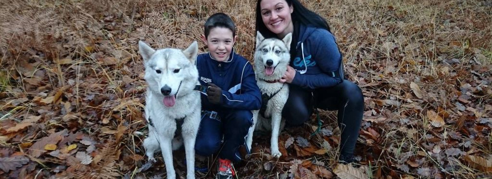 Husky d'Anjou, le monde du chien de traineau