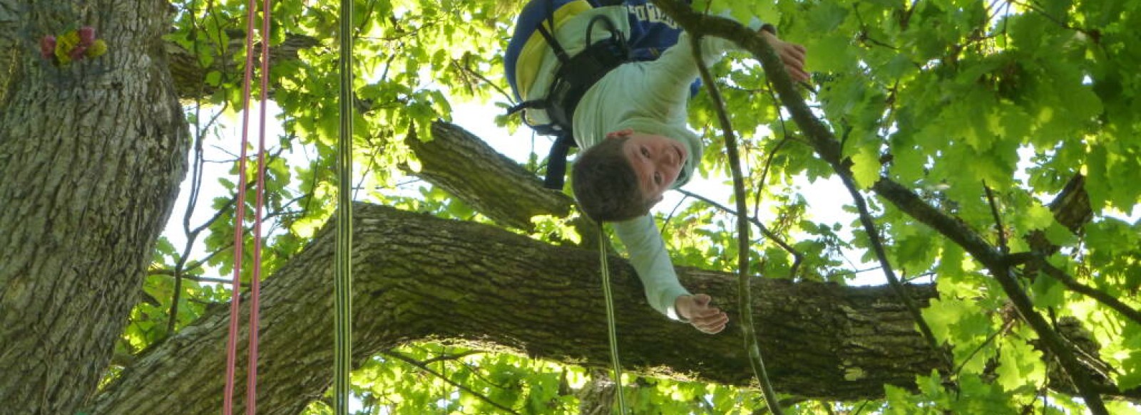 Le dedale des cimes - initiation a la grimpe d'arbre et laser-game en foret