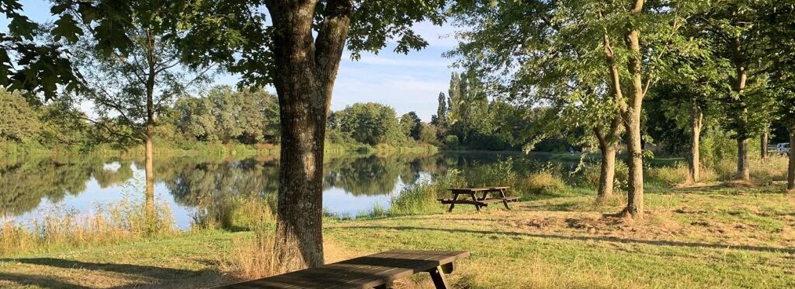 Aire de pique-nique de l'etang de la Gourmeniere