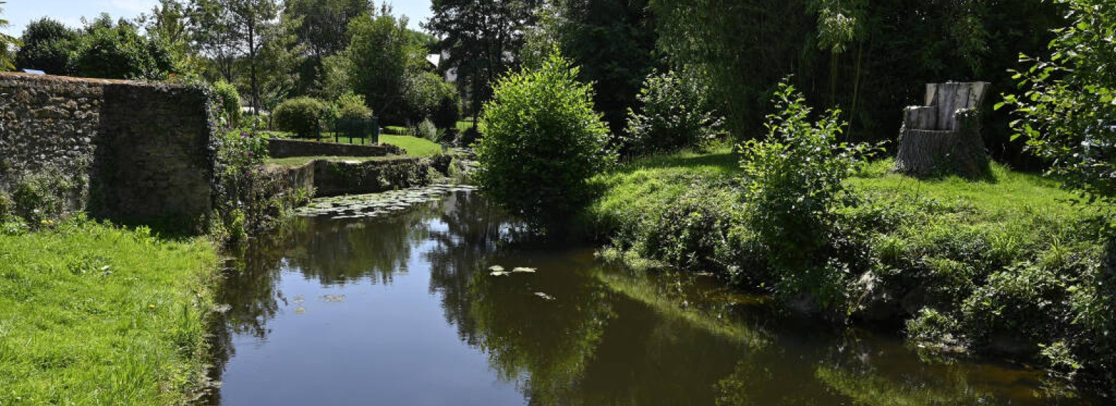 Aire de pique-nique - jardin de la mairie