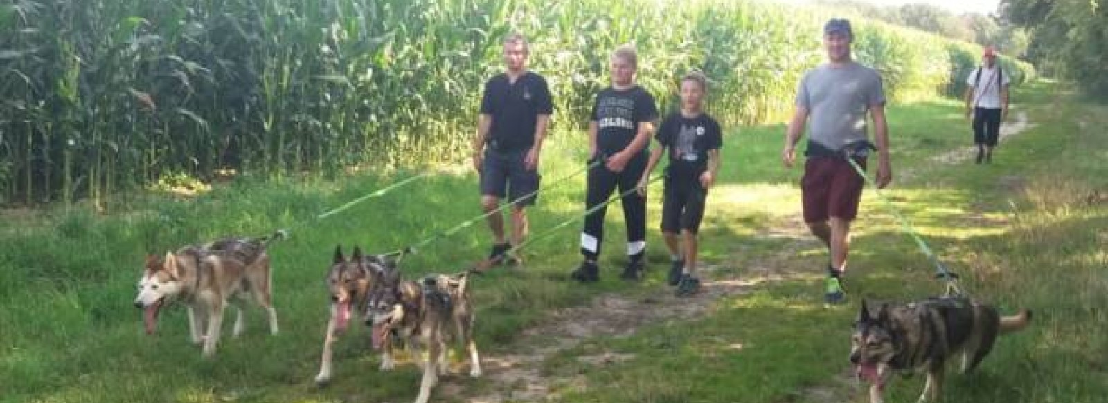 Cani-rando et balade kart : Association des Crocs Blancs Sarthois