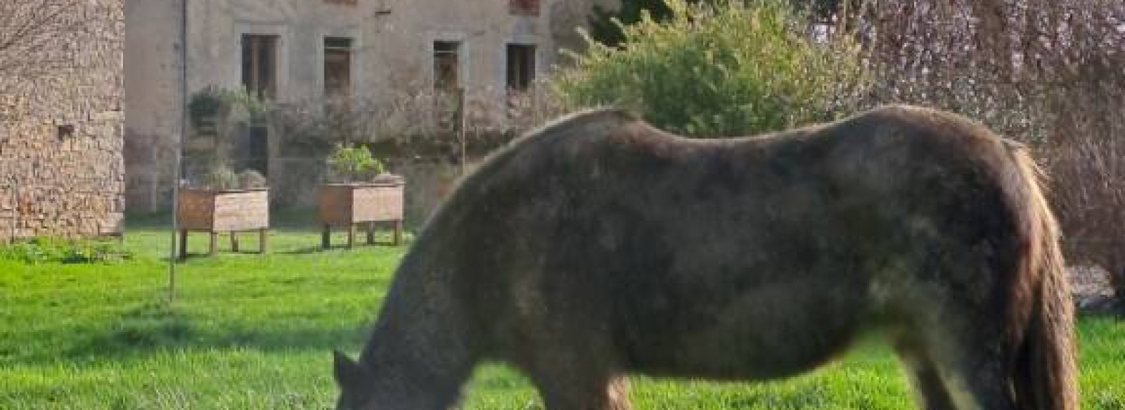 Ecolieu La Bretonnerie