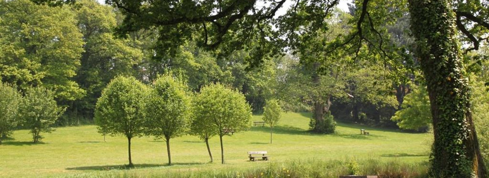 AIRE DE LOISIRS DE L'AUDRENIERE