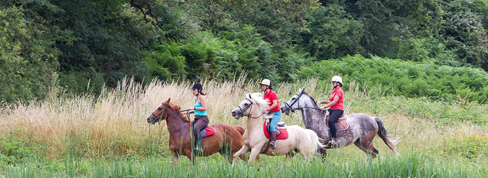 CENTRE EQUESTRE LA GARANGEOIRE