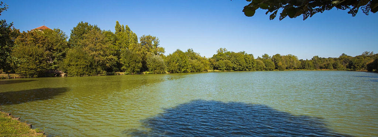 Etang de Saint-Martin