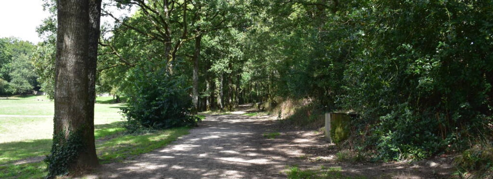 PARC DU MOULIN A ELISE