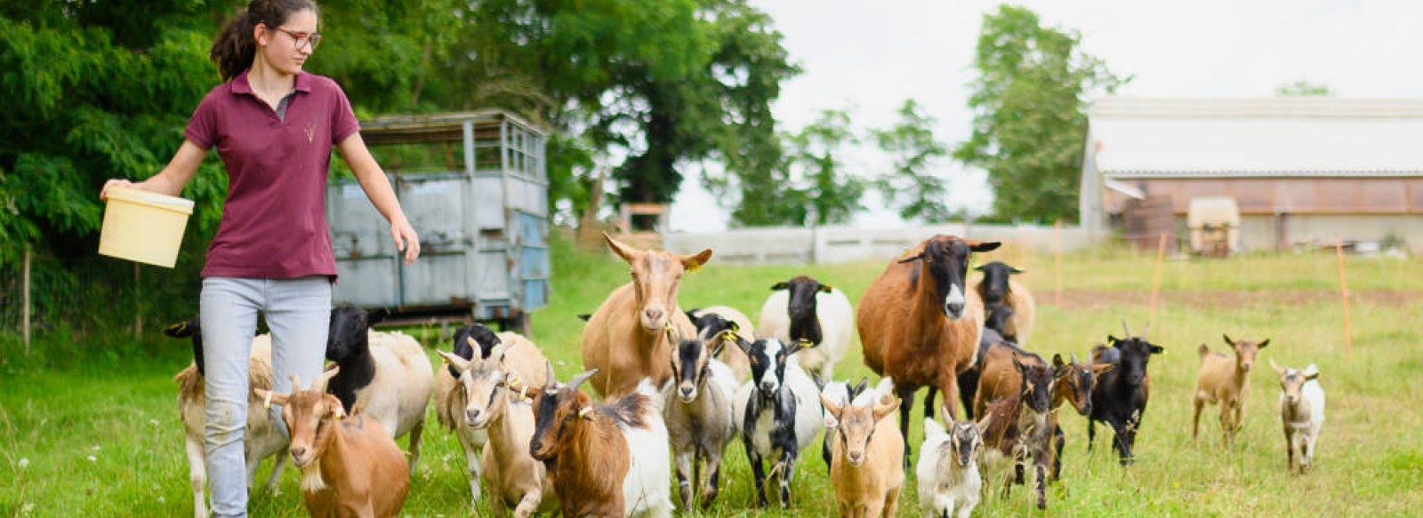 LE POTAGER DES Z'ANIMAUX