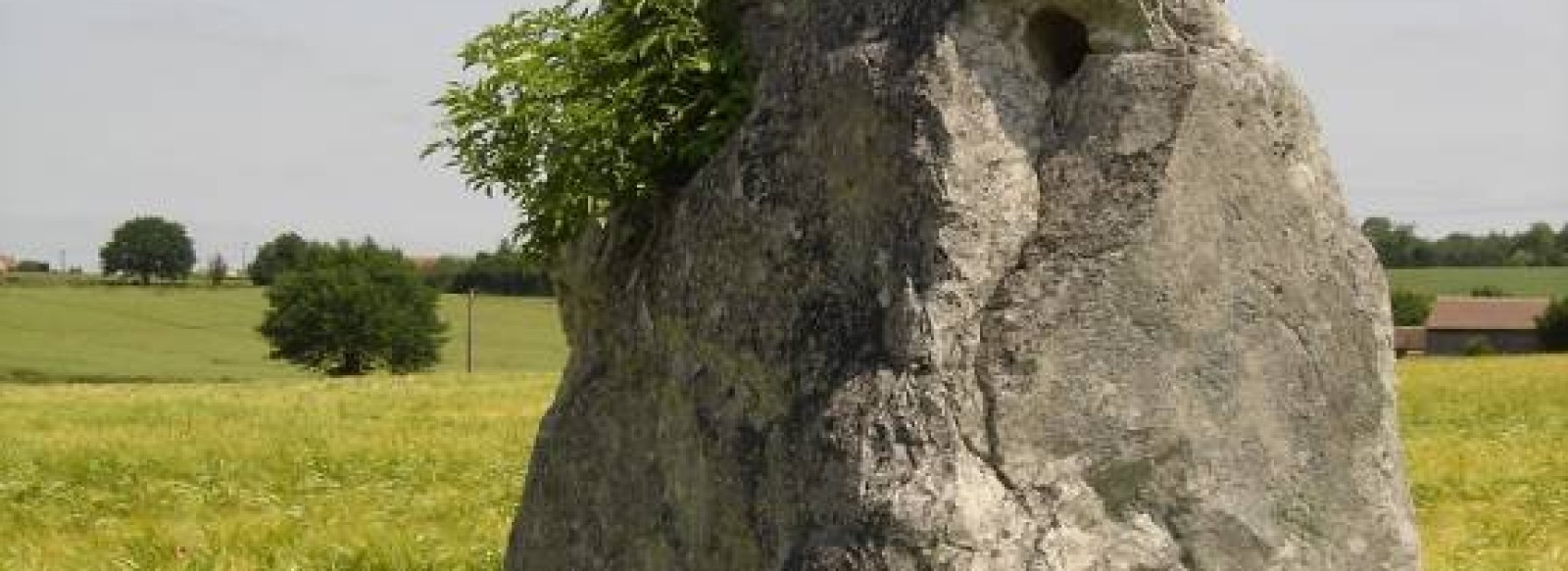 MENHIR DE PIERREFICHE