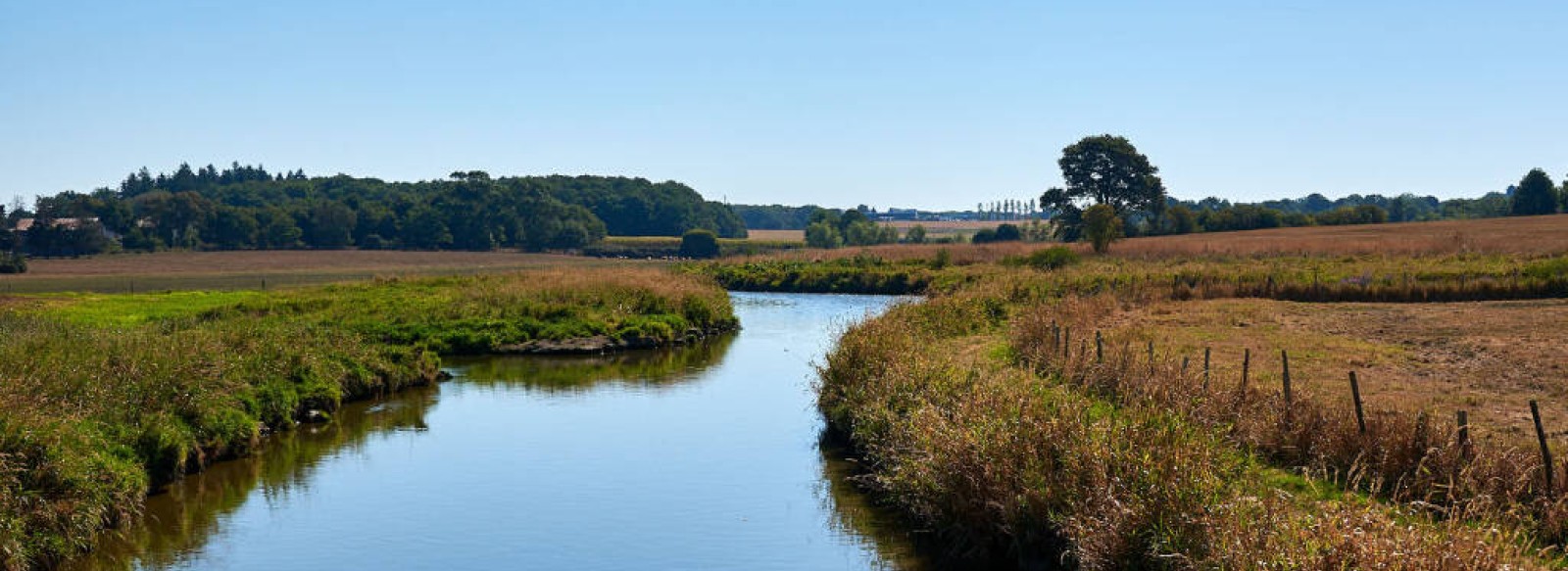 MARAIS DU BOIVRE