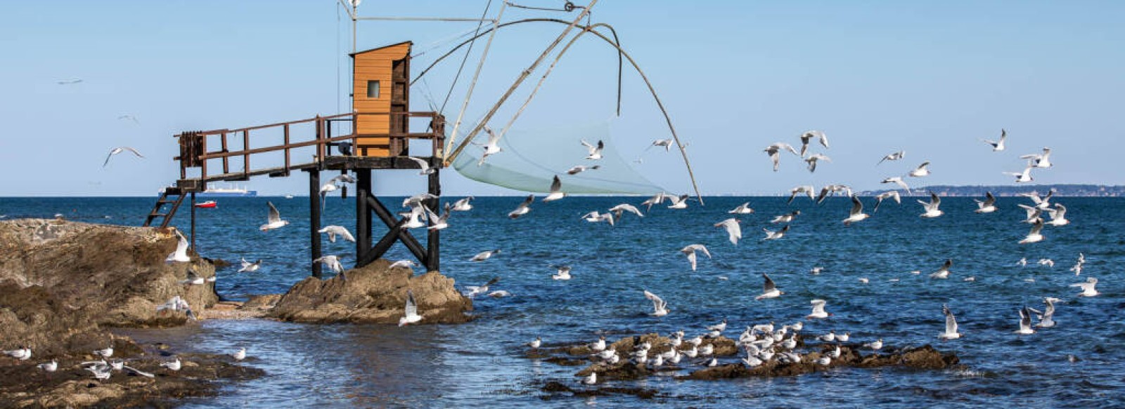 Plage de la Govogne