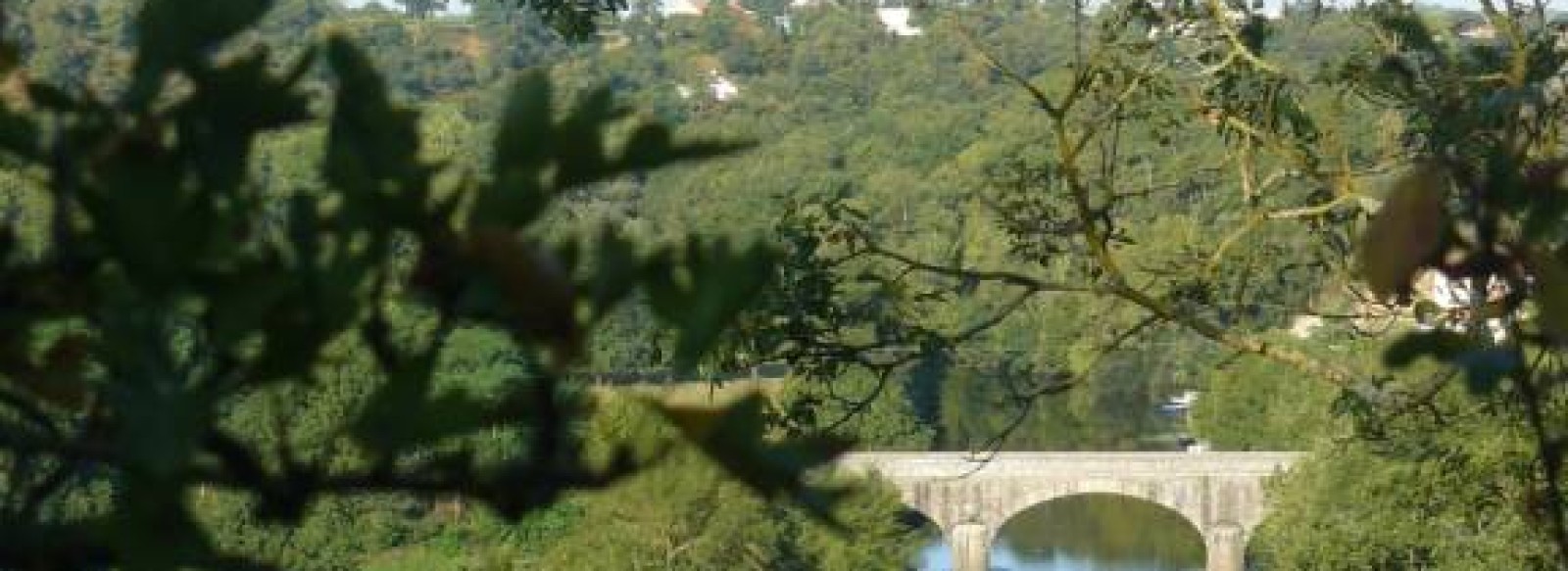 Panorama sur la Sevre et le pont de la Haye-Fouassiere