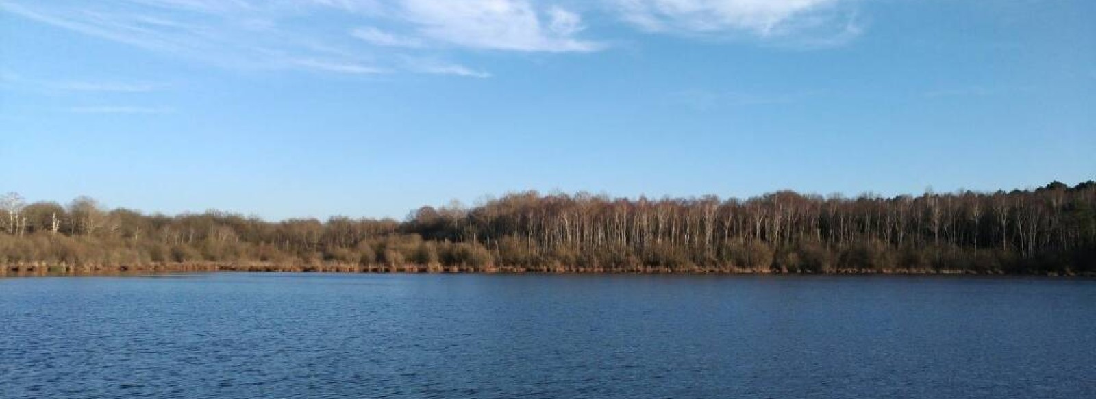 ETANG ET BOISEMENTS DE JOREAU